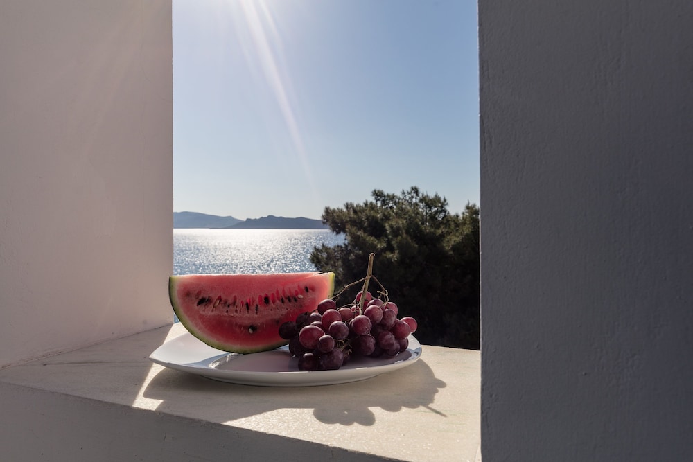 Dionysos Hotel Agistri 26/50