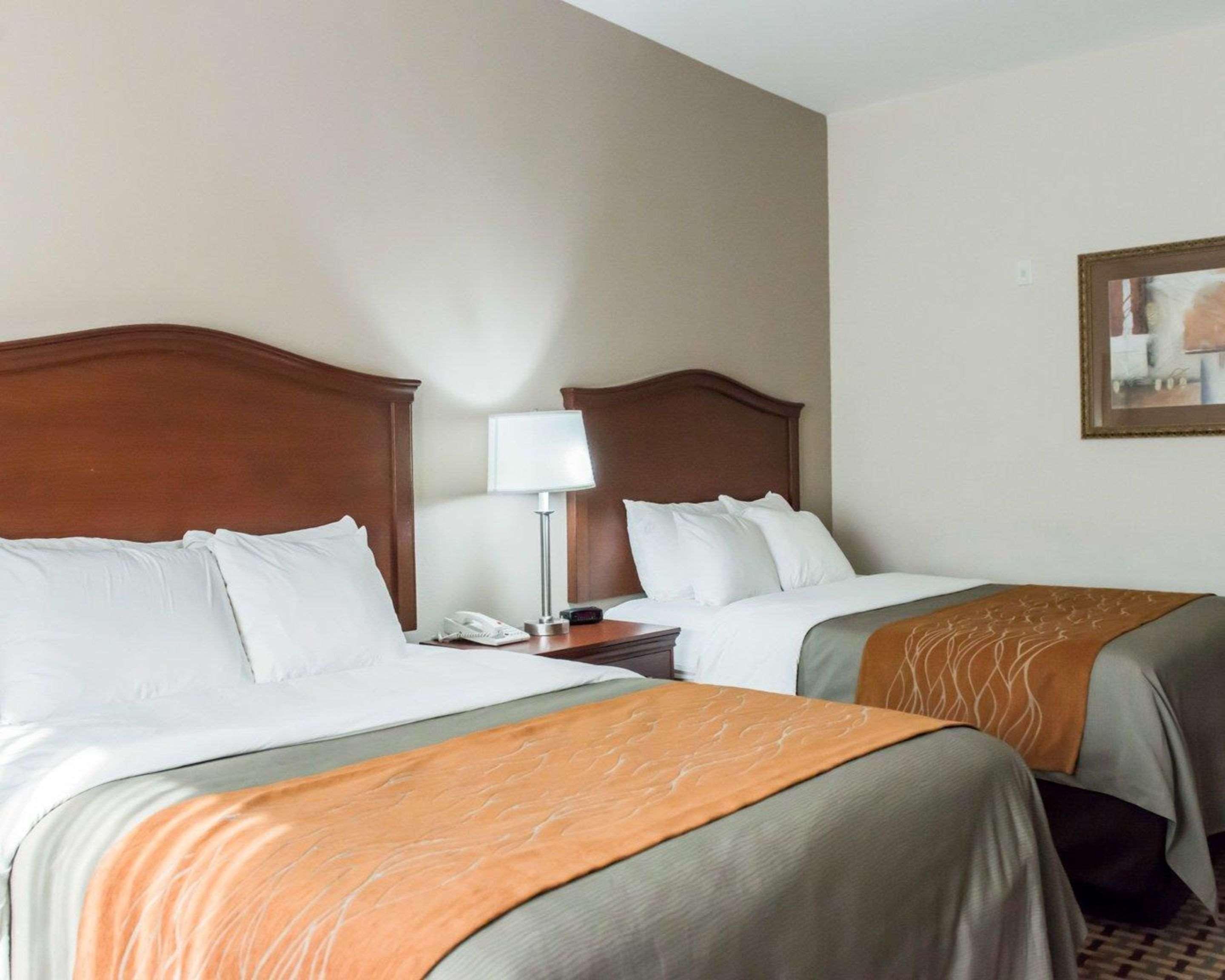 Room, Quadruple, Queen Bed