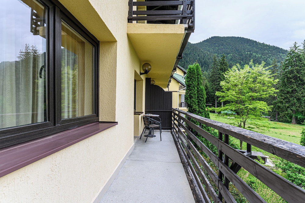 Hotel Casa Viorel 3/50