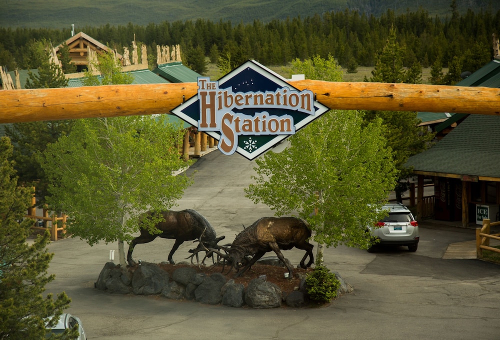 The Hibernation Station 63/65