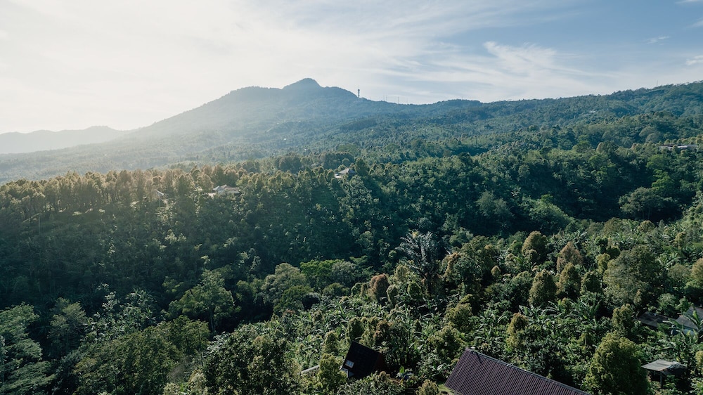 Villa Kayu Amertha 35/46