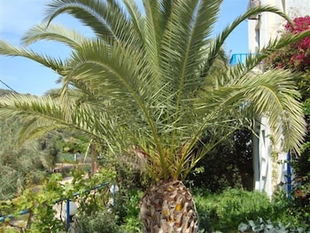 Creta Sun Hotel Studios 16/26