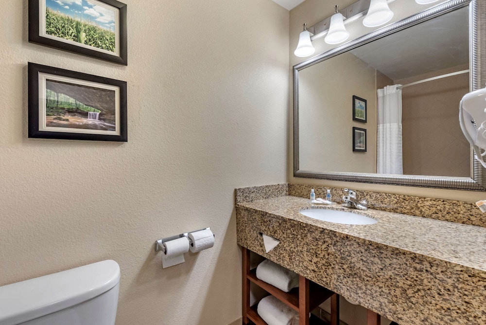 Comfort Inn & Suites Muncie Near University 19/24