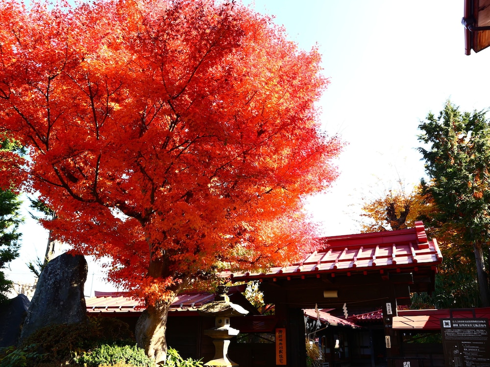 Hostel Fujisan You 39/50