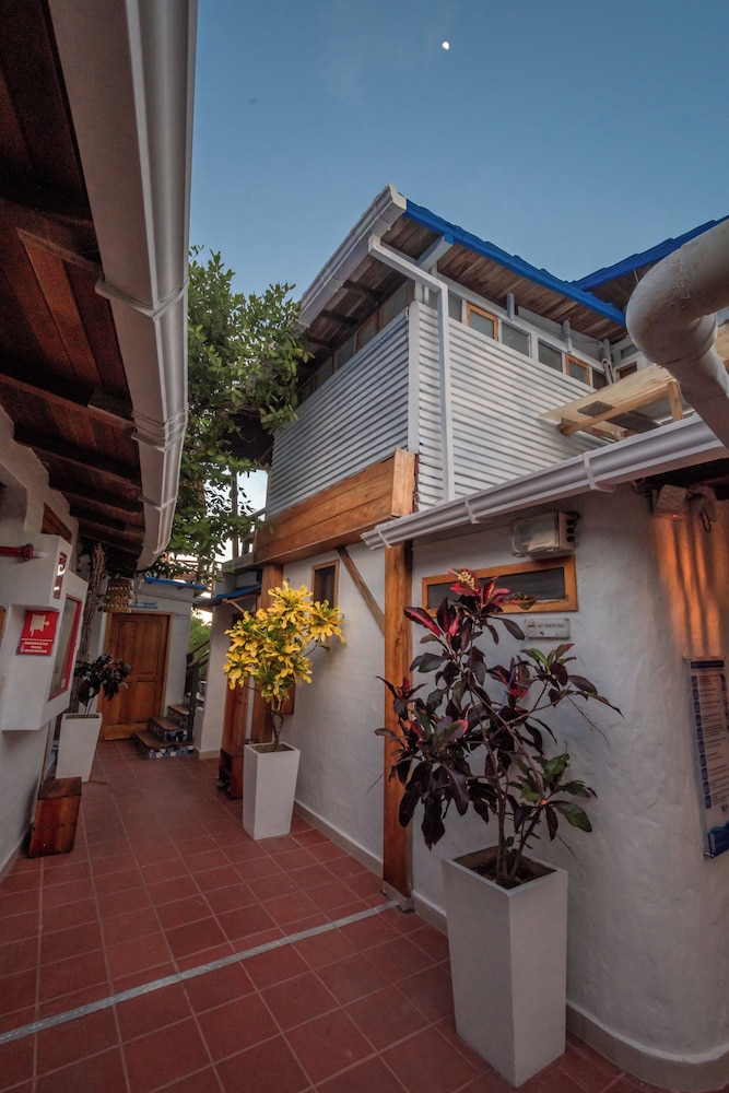 Red Mangrove Aventura Lodge 7/77