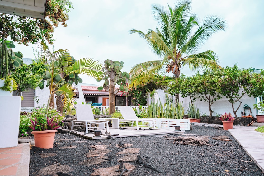 Cucuve Suites 63/67