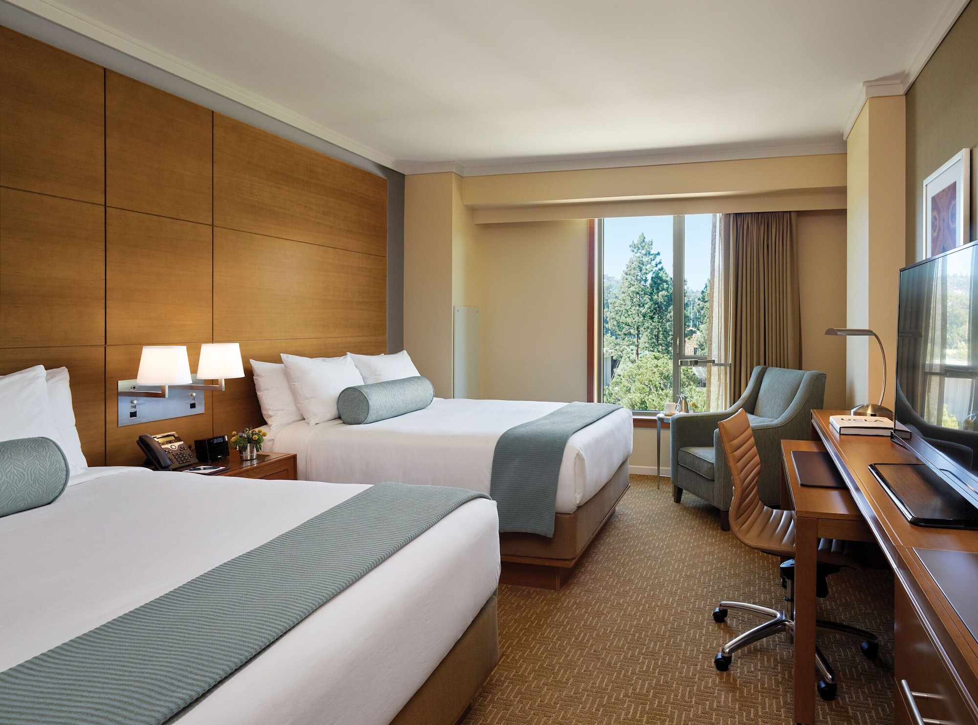 STANDARD, DOUBLE BED, ACCESSIBLE