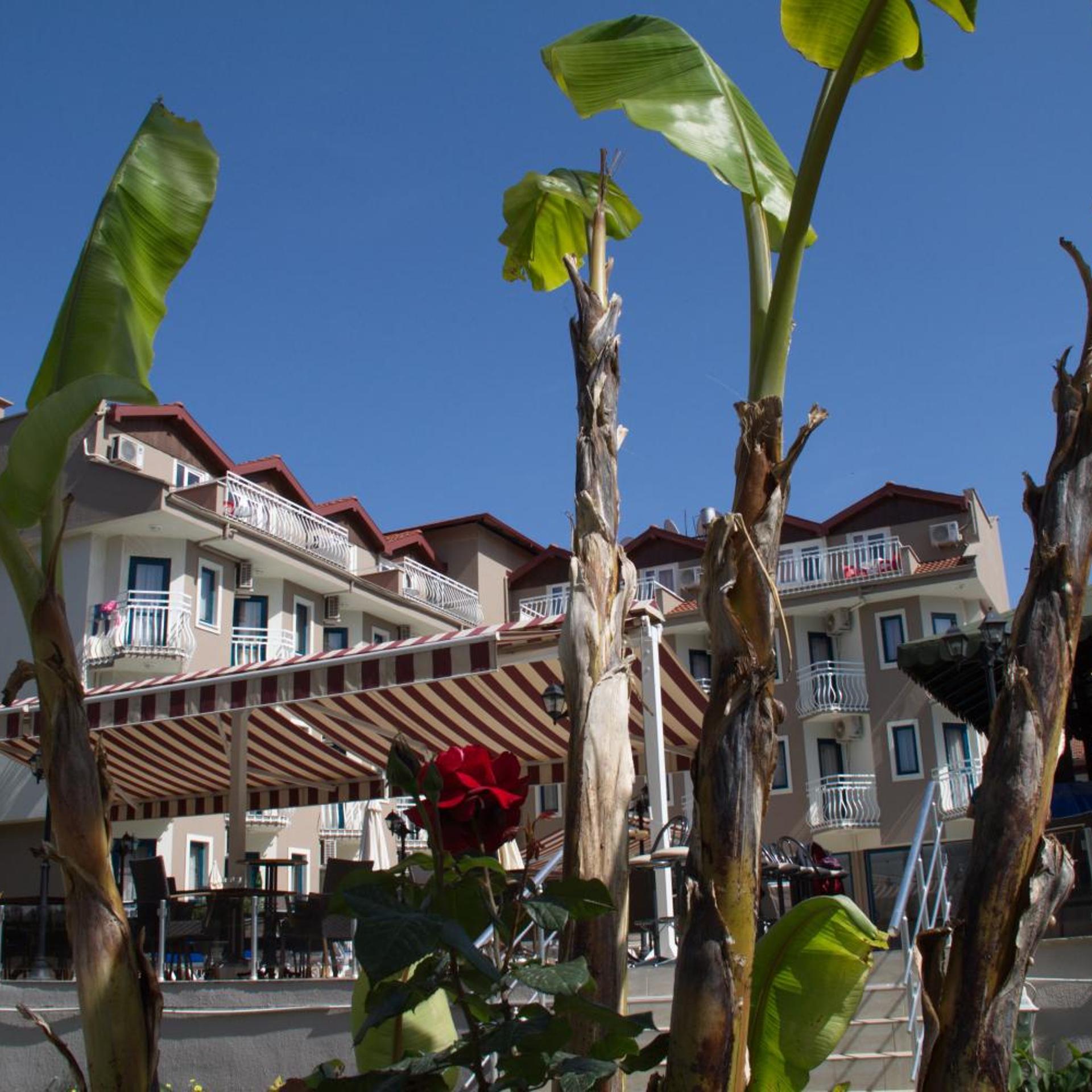 Remer Hotel 40/50