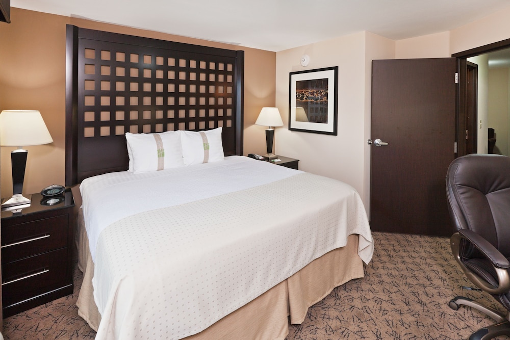 Holiday Inn Hotel & Suites Tulsa South 12/56