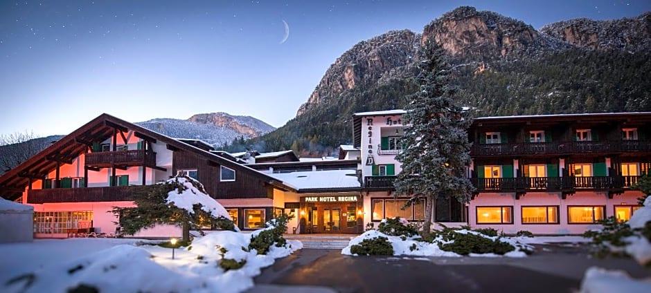 HOTEL REGINA DELLE DOLOMITI 1/81
