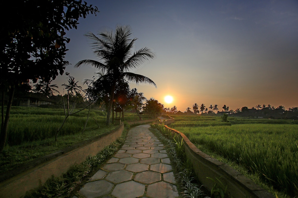 Wapa Di Ume Ubud 42/49