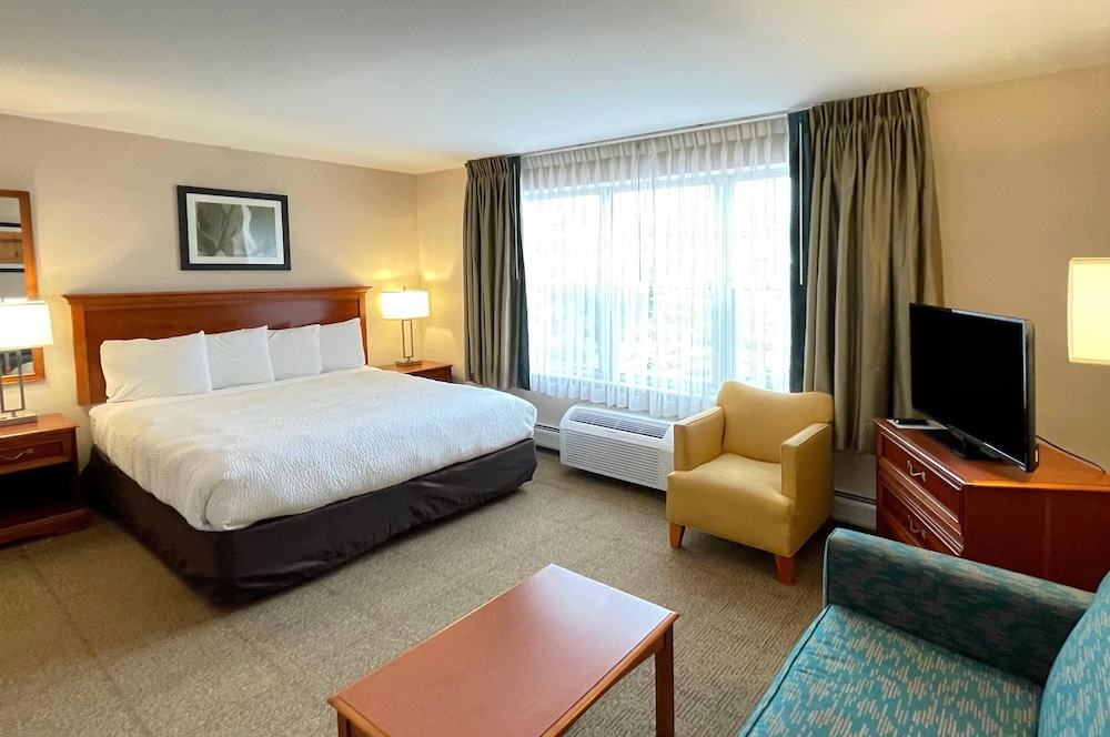 Smart Suites, an Ascend Collection Hotel 17/50