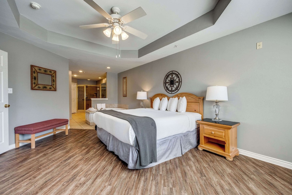 Efficiency, Suite, King Bed