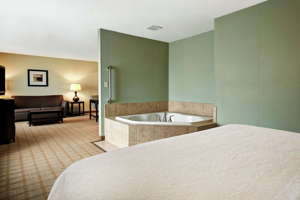 Hampton Inn Suites Detroit Canton 25/89