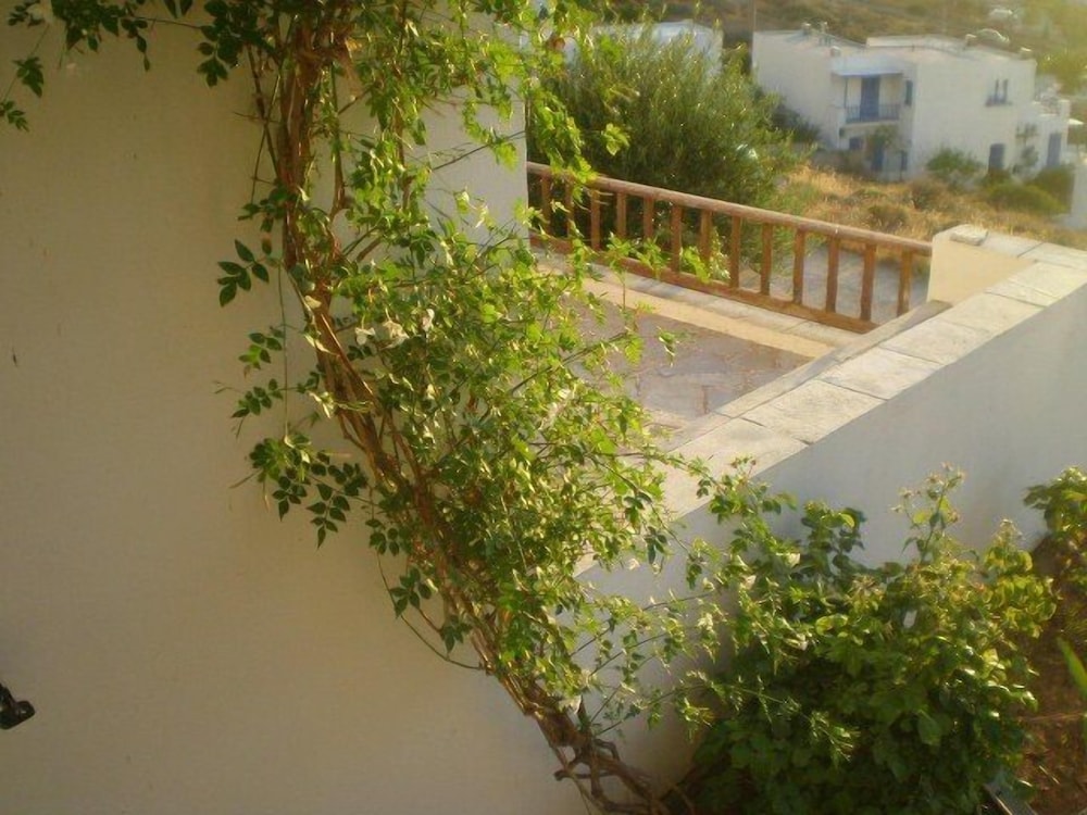 Froudi 33/50
