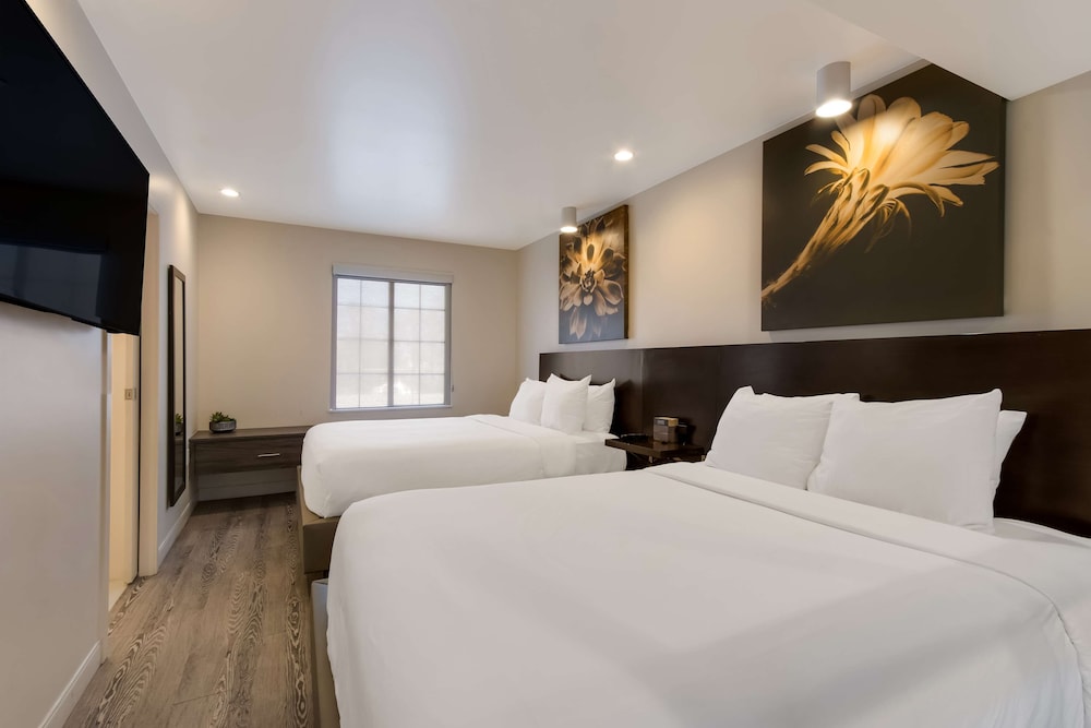 Suite, 2 Queen Beds
