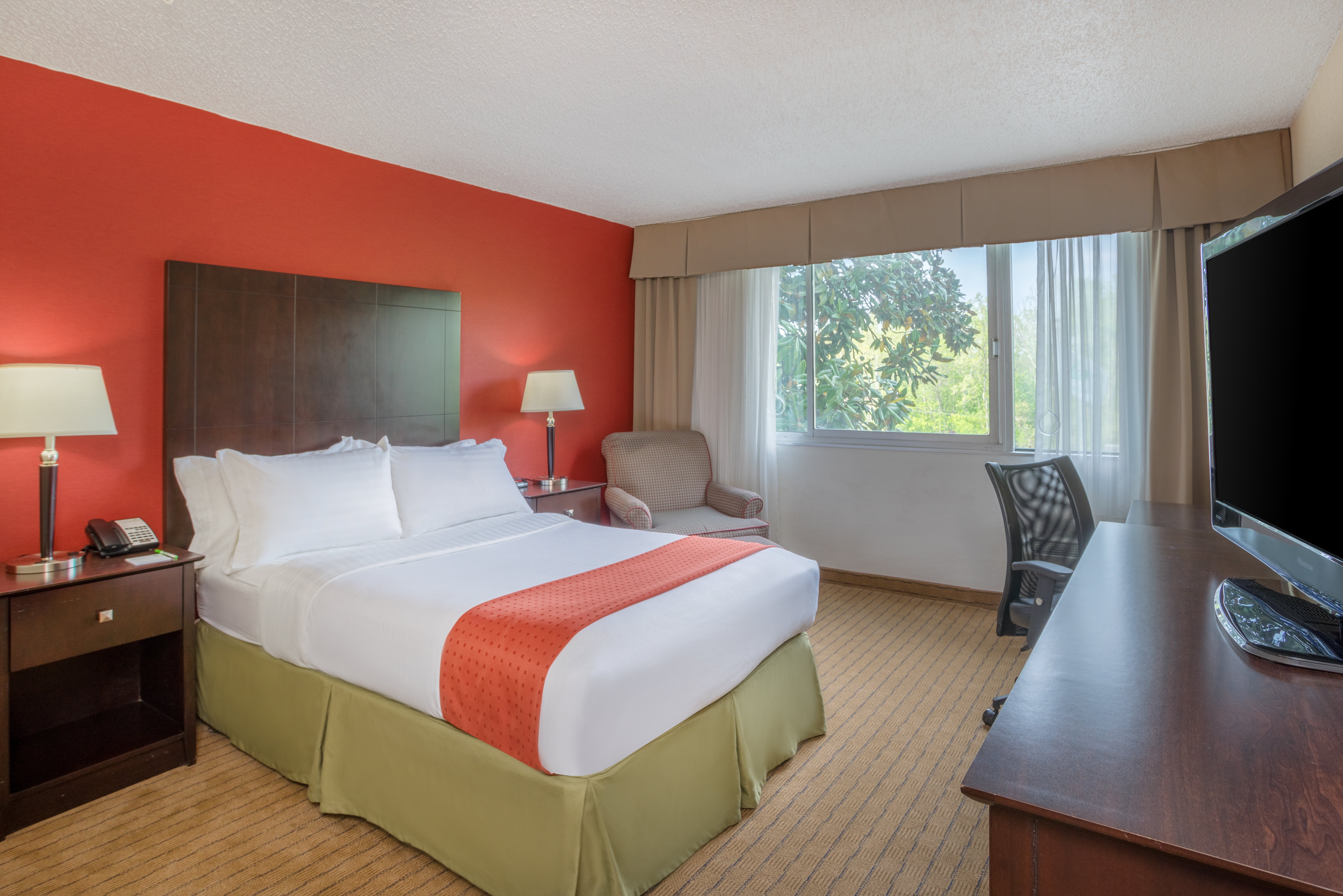 Room, King Bed