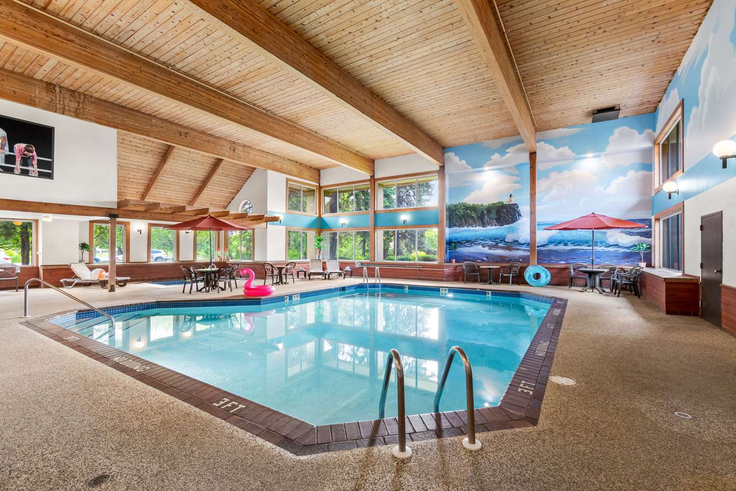swimming pool spa