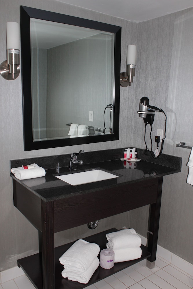 Ramada Plaza By Wyndham Niagara Falls 40/79