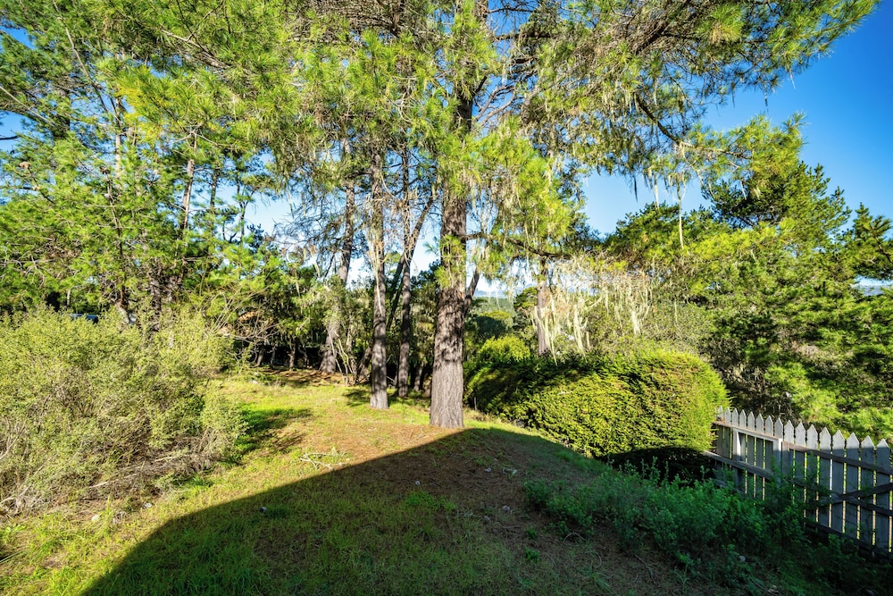 Cambria Pines Lodge 37/41