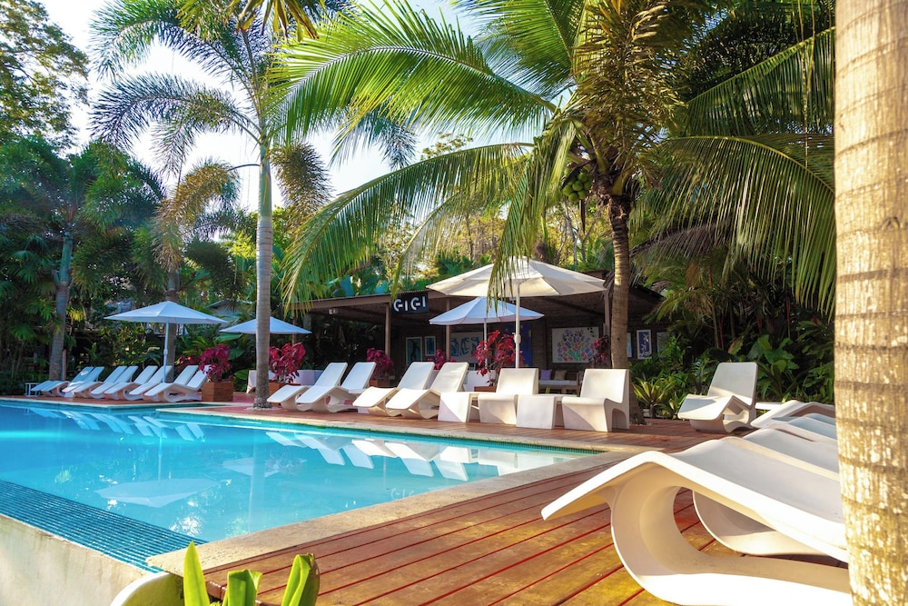 Le Cameleon Hotel 35/65