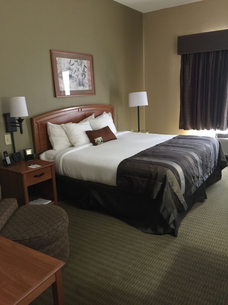 Wingate By Wyndham Little Rock 10/34