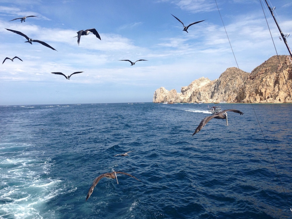 Hyatt Place Los Cabos 60/65