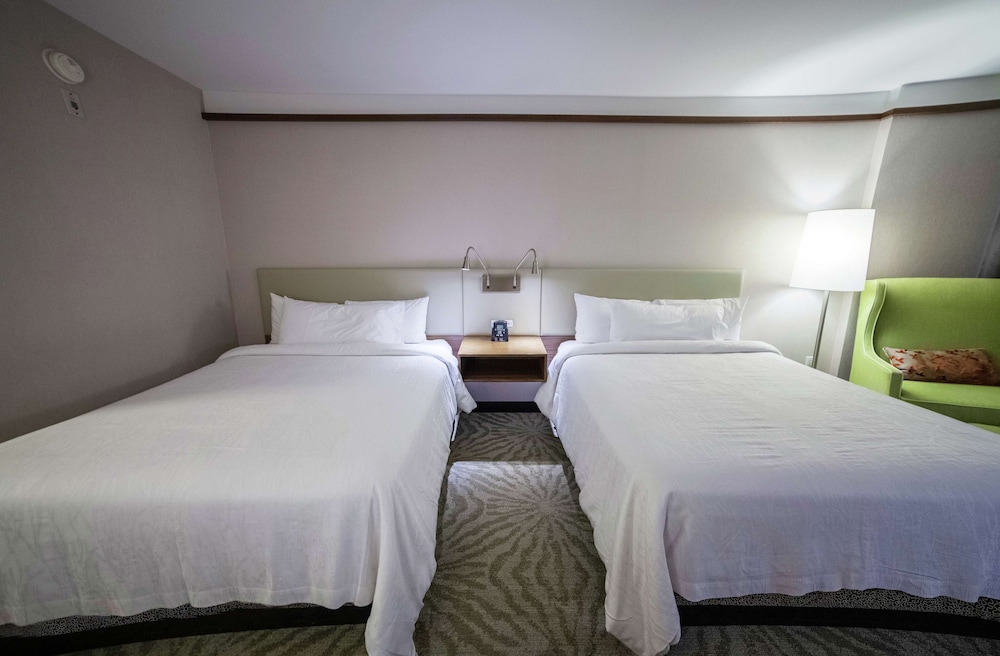 蒙特利尔机场希尔顿花园酒店(Hilton Garden Inn Montreal Airport) 图片4