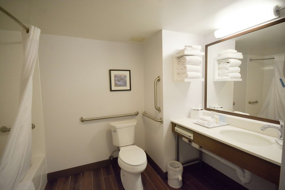 Hampton Inn Salem East - Electric Road 13/58