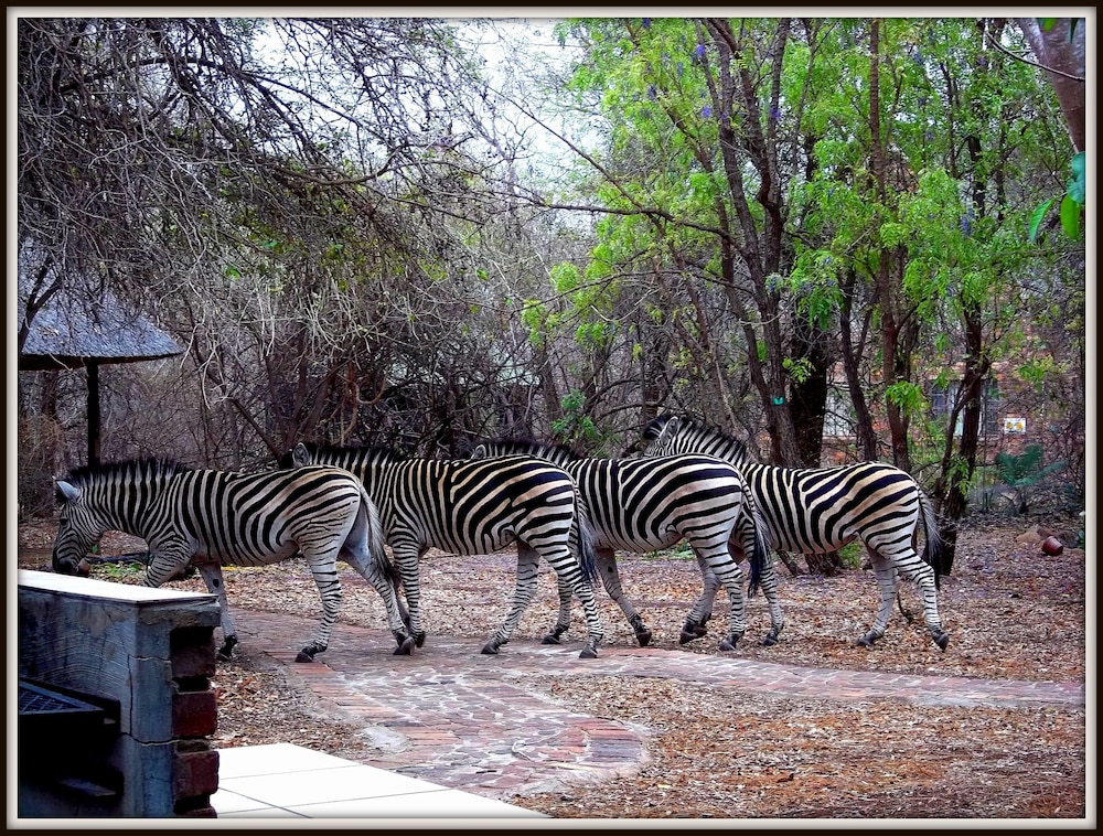 Phumula Kruger Lodge 60/66