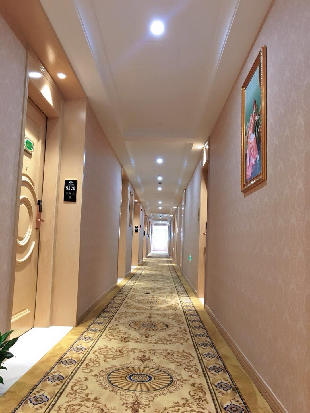 Vienna Hotel (Shanghai Hongmei South Road) 12/39