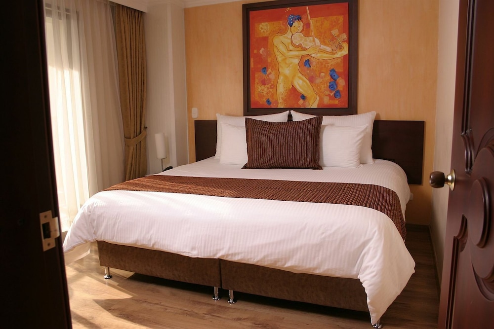 Luxor Plaza Hotel Pereira 17/50