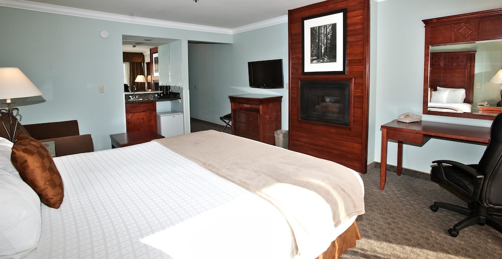 Best Western Plus Forest Park Inn 16/53