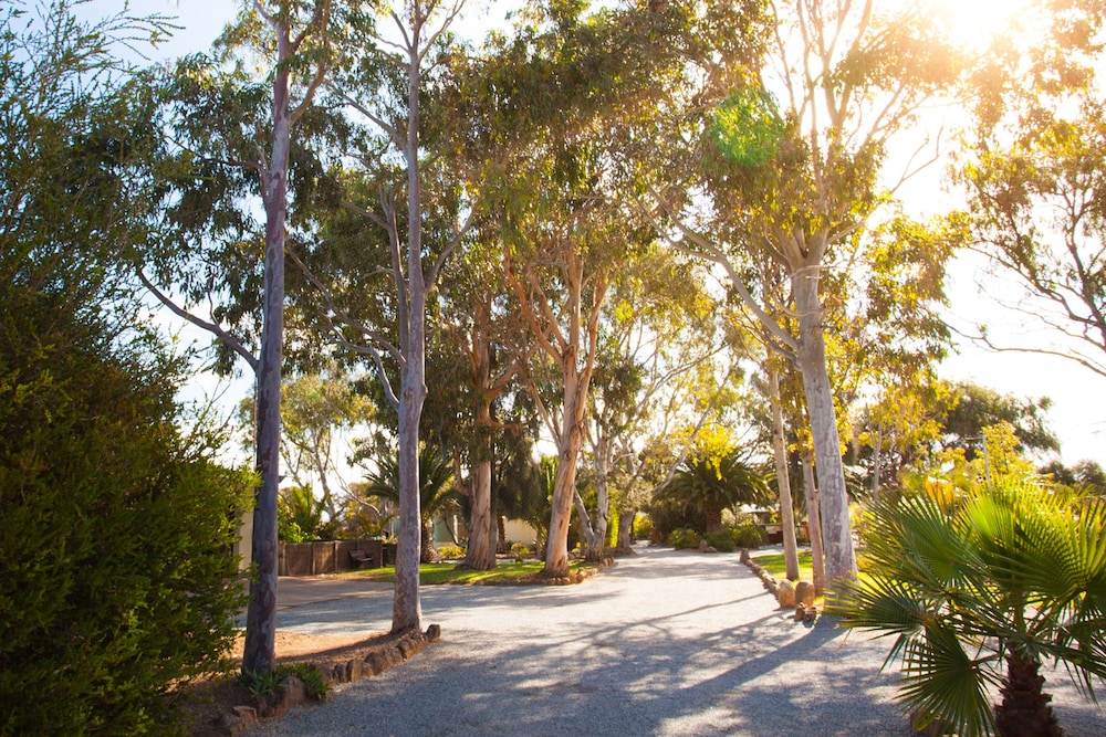 MODRA'S APARTMENTS 31/50