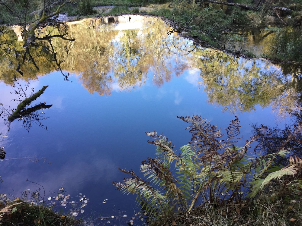 Bamff Ecotourism 31/39