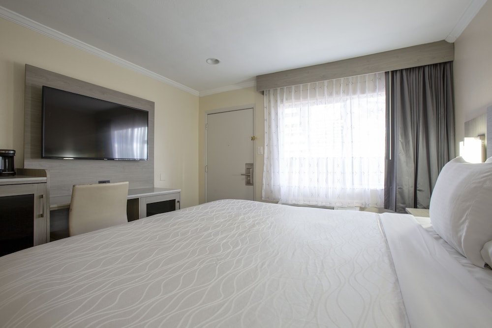 STANDARD, KING BED