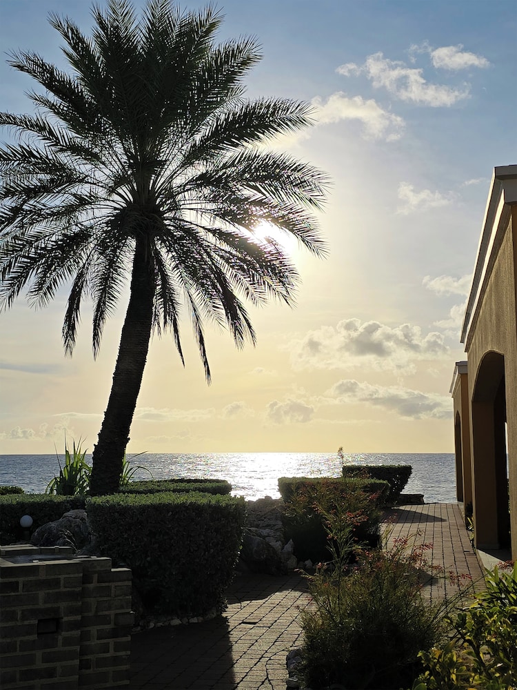 The Royal Sea Aquarium Resort 81/84