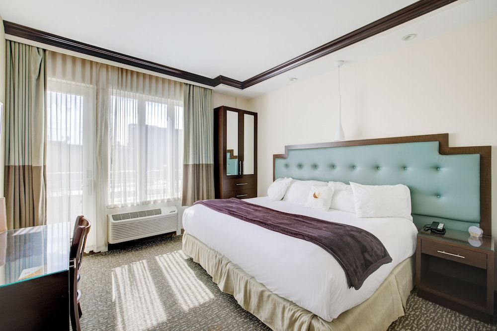 Condor Hotel by LuxUrban, Trademark Collection 19/50