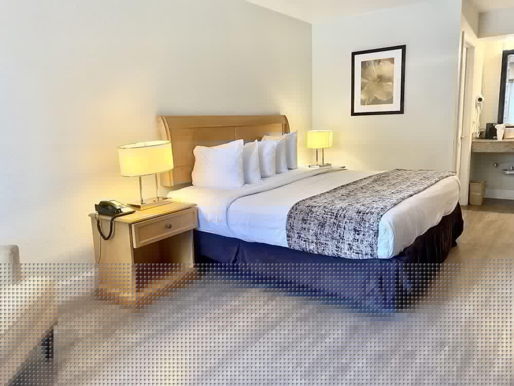 Garden Inn Homestead 17/81