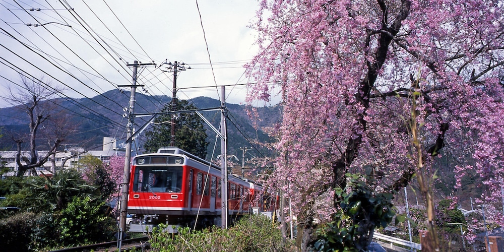 Hakone Onsen Yuyado Yamanoshou 4/48
