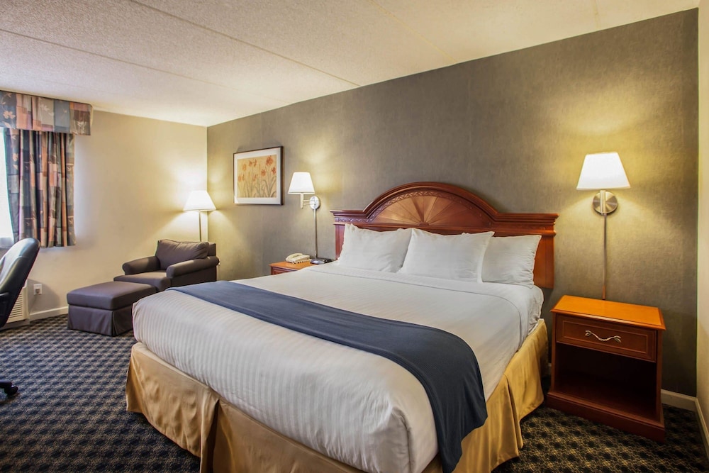Efficiency, King Bed