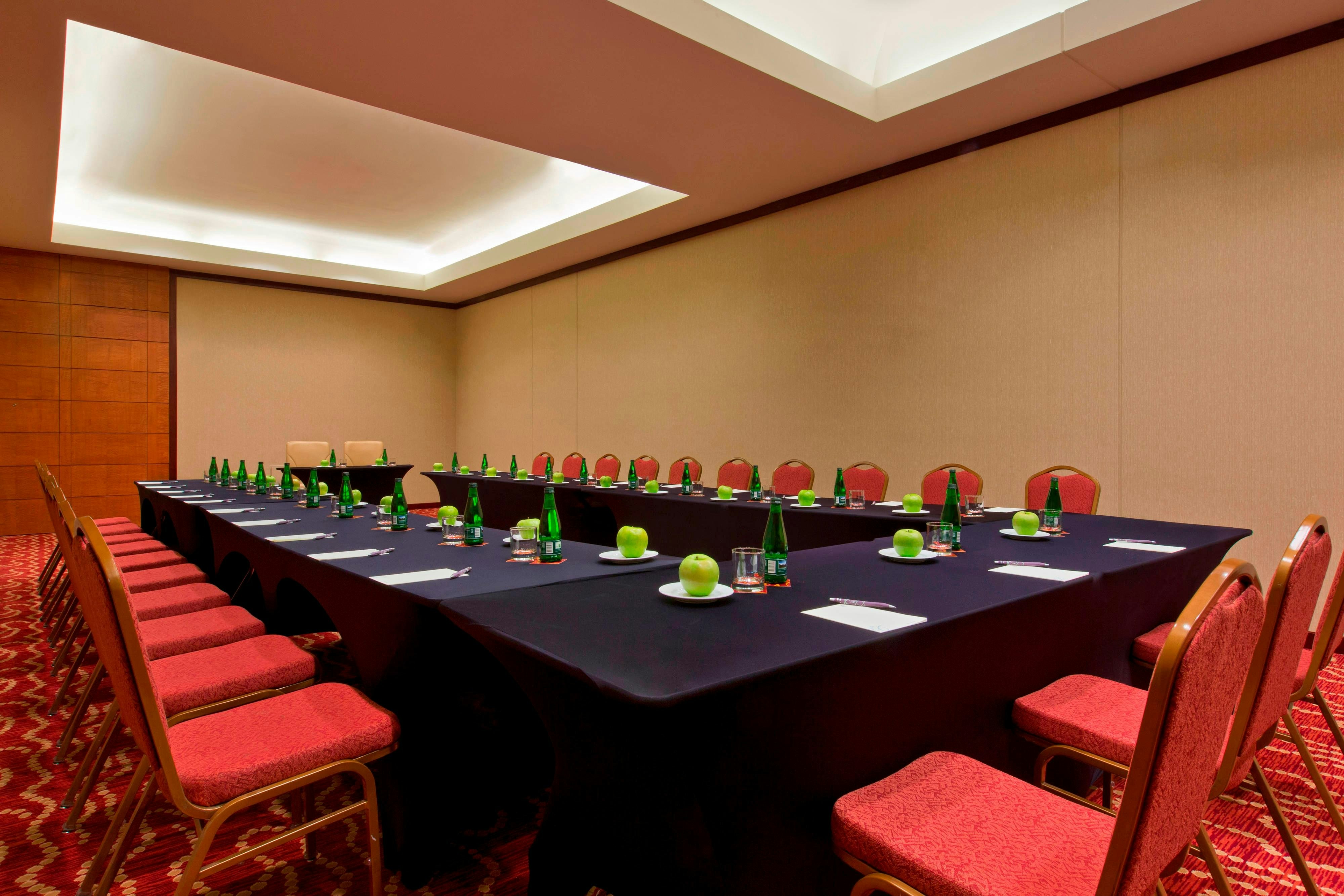Sheraton Santiago Htl Convention Center 67/78