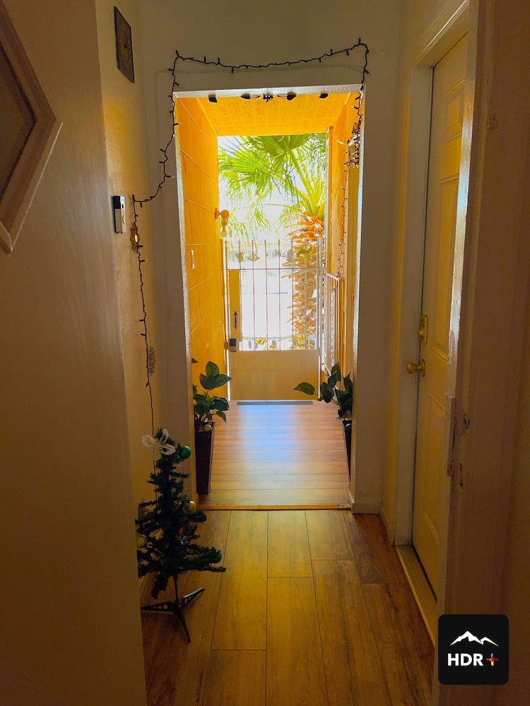 The Yellow Penthouse 42/73