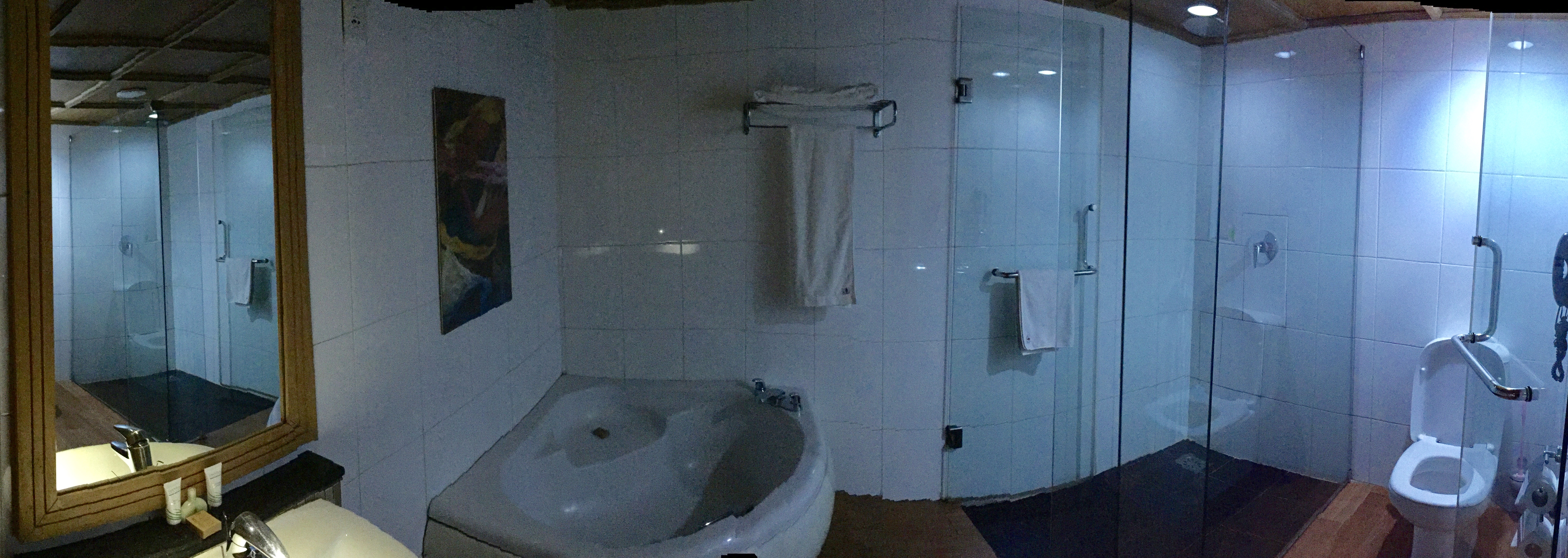 Executive, Queen Bed
