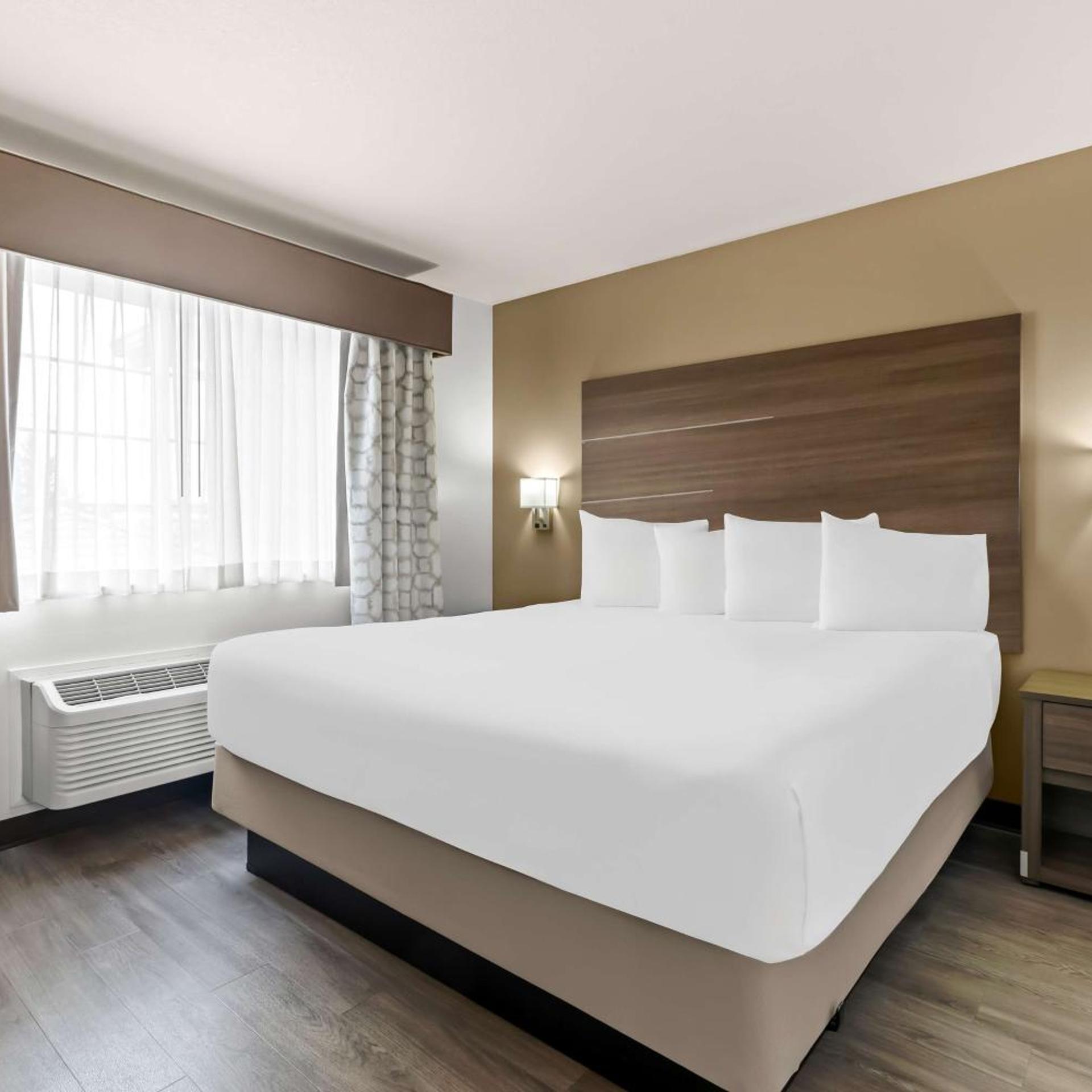 Suite, King Bed, Sofa