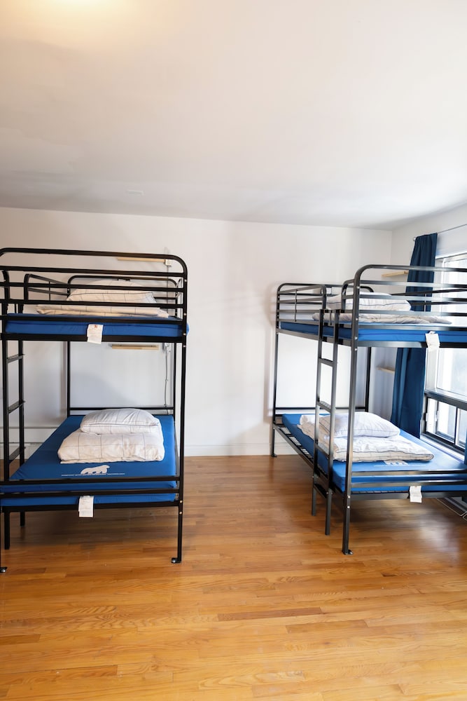 Treehouse Hostel 10/15