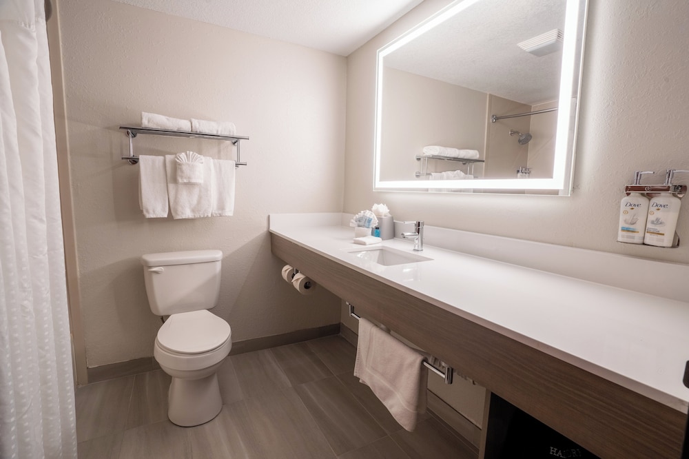 Holiday Inn Express Hotel And Suites Orange City 62/63