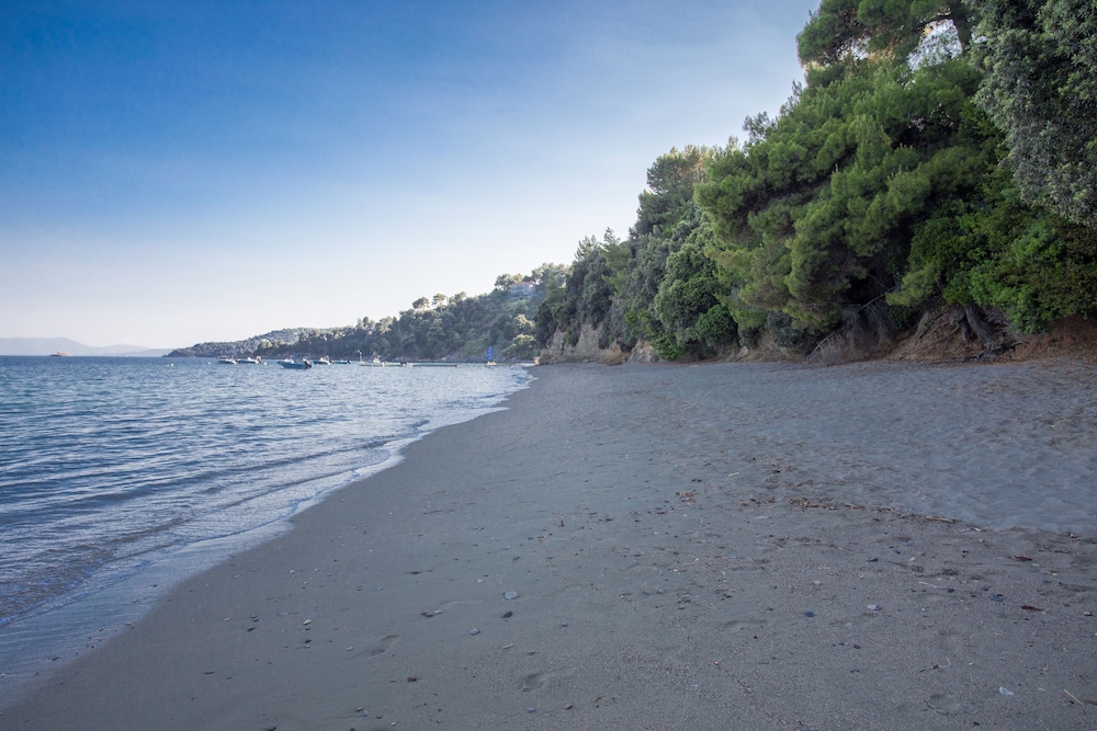 Golden King Villas Skiathos 44/60
