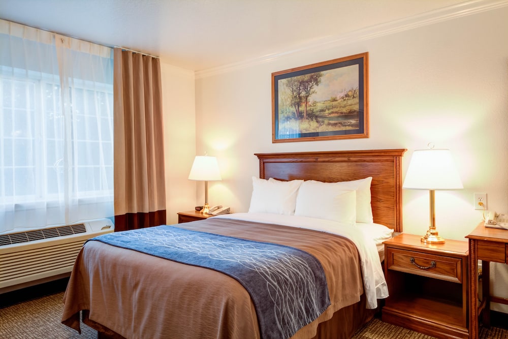 Best Western Paradise Hotel 22/44