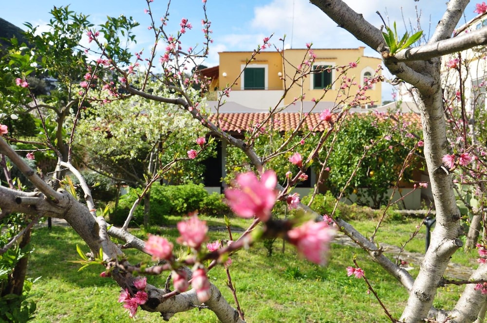 Hotel La Marticana 58/65